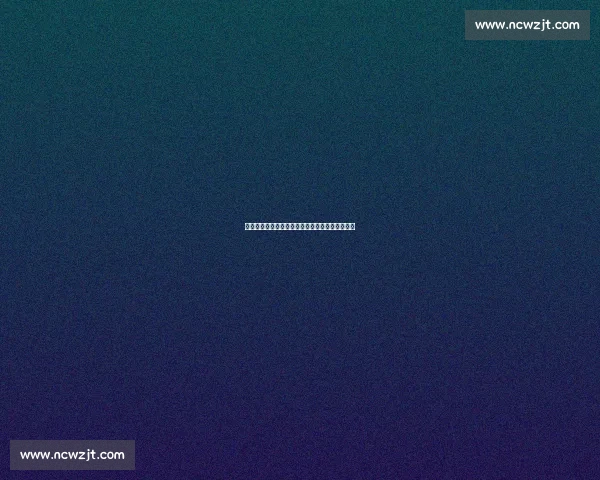 纽卡开启拉姆齐争夺战，维拉西汉姆双雄虎视眈眈